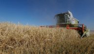 لماذا تتلاشى هيمنة الولايات المتحدة على أسواق القمح والحبوب العالمية؟